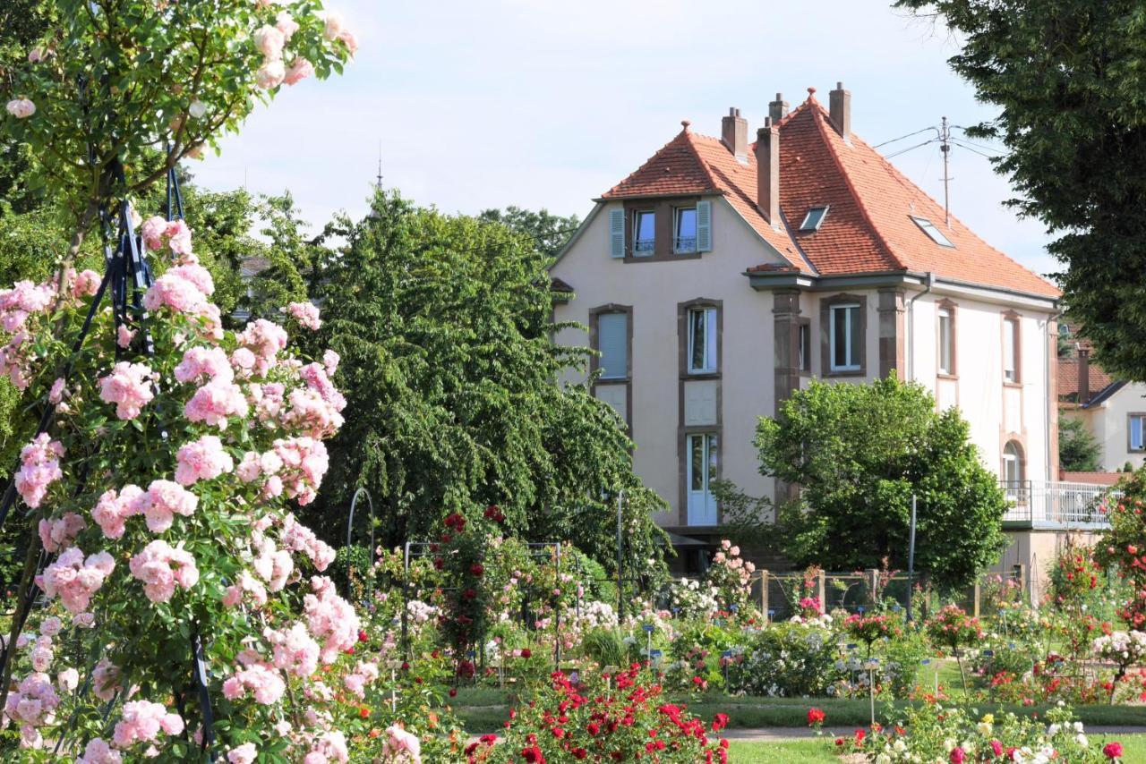 Апартаменти Le Jardin Des Roses Саверн Екстер'єр фото