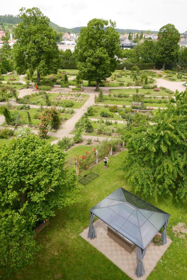 Апартаменти Le Jardin Des Roses Саверн Екстер'єр фото