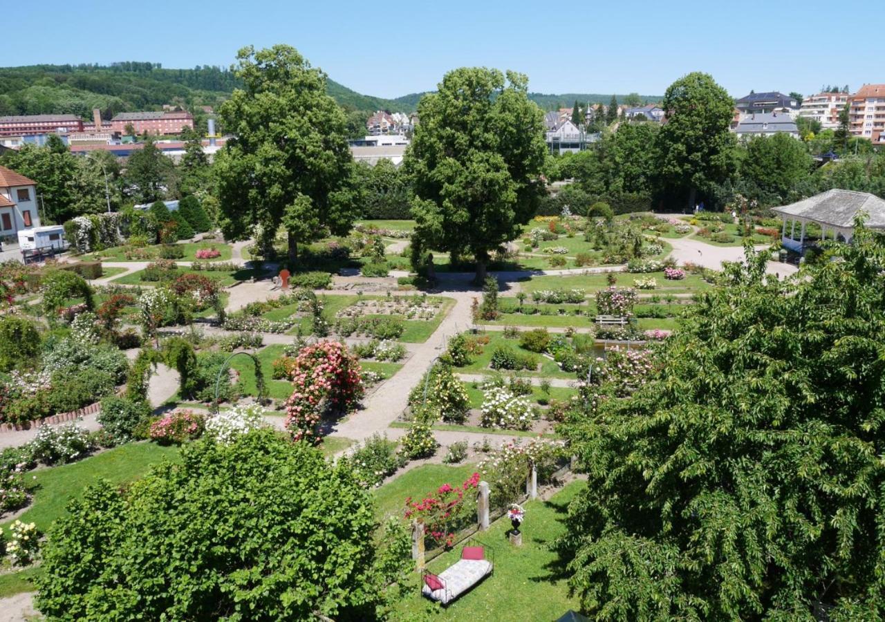 Апартаменти Le Jardin Des Roses Саверн Екстер'єр фото